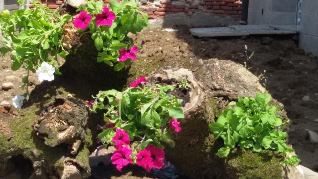 B&B Honey Rooms Saronno Ngoại thất bức ảnh